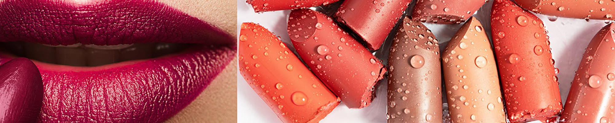 Florelle lip colors banner